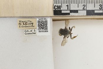 Media type: image;   Entomology 791806 Aspect: Labels
